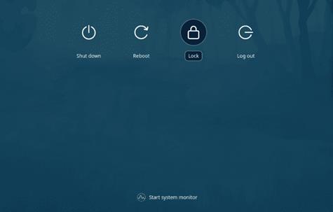 7. dde panel widget power