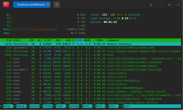 32. fedora deepin performance