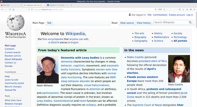 ../../../_images/firefox-screenshot.png