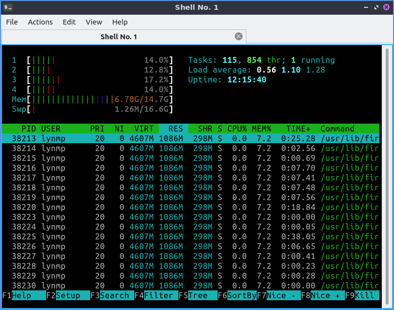 ../../../_images/htop.png